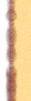 ݕۈ牀̎{݈ēASg[ݔ